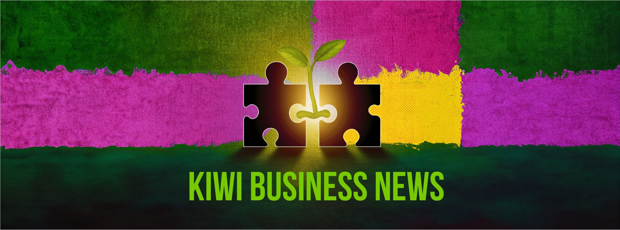 Bannière Kiwi Business News